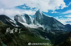  辽宁本钢对阵山东高速杨鸣赛后接受采访 